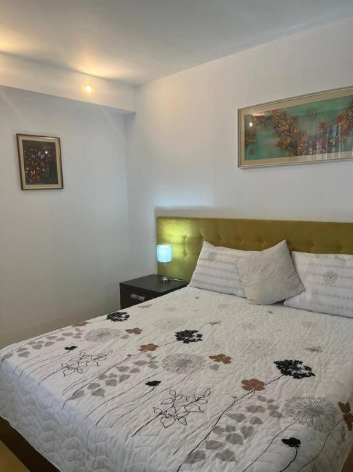 Apartament Theta- Langa Centru, Cada Hidromasaj Suceava Exterior foto